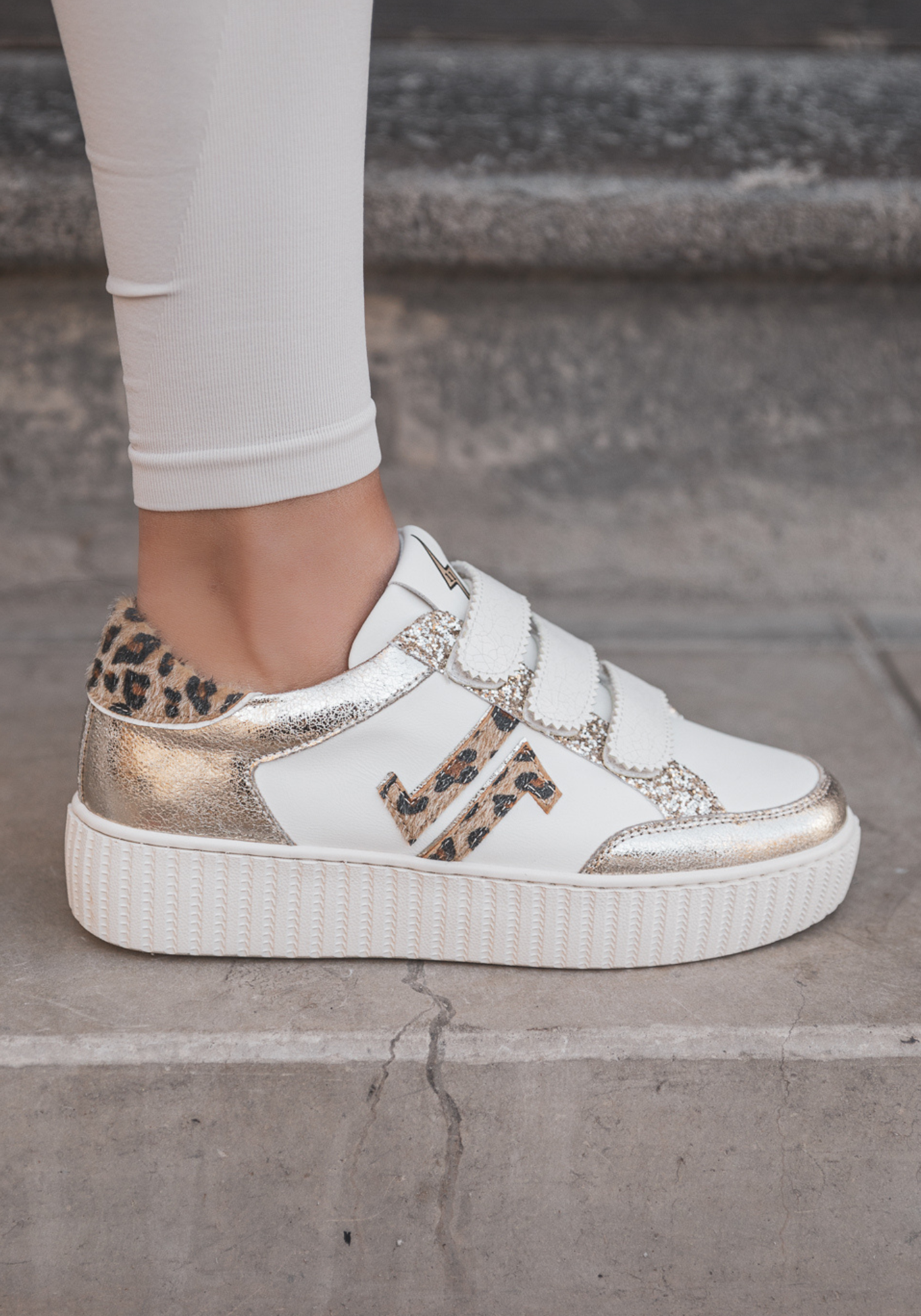 CL11 SNEAKERS - CL91-GOLD-LEO - Casualmode.fr