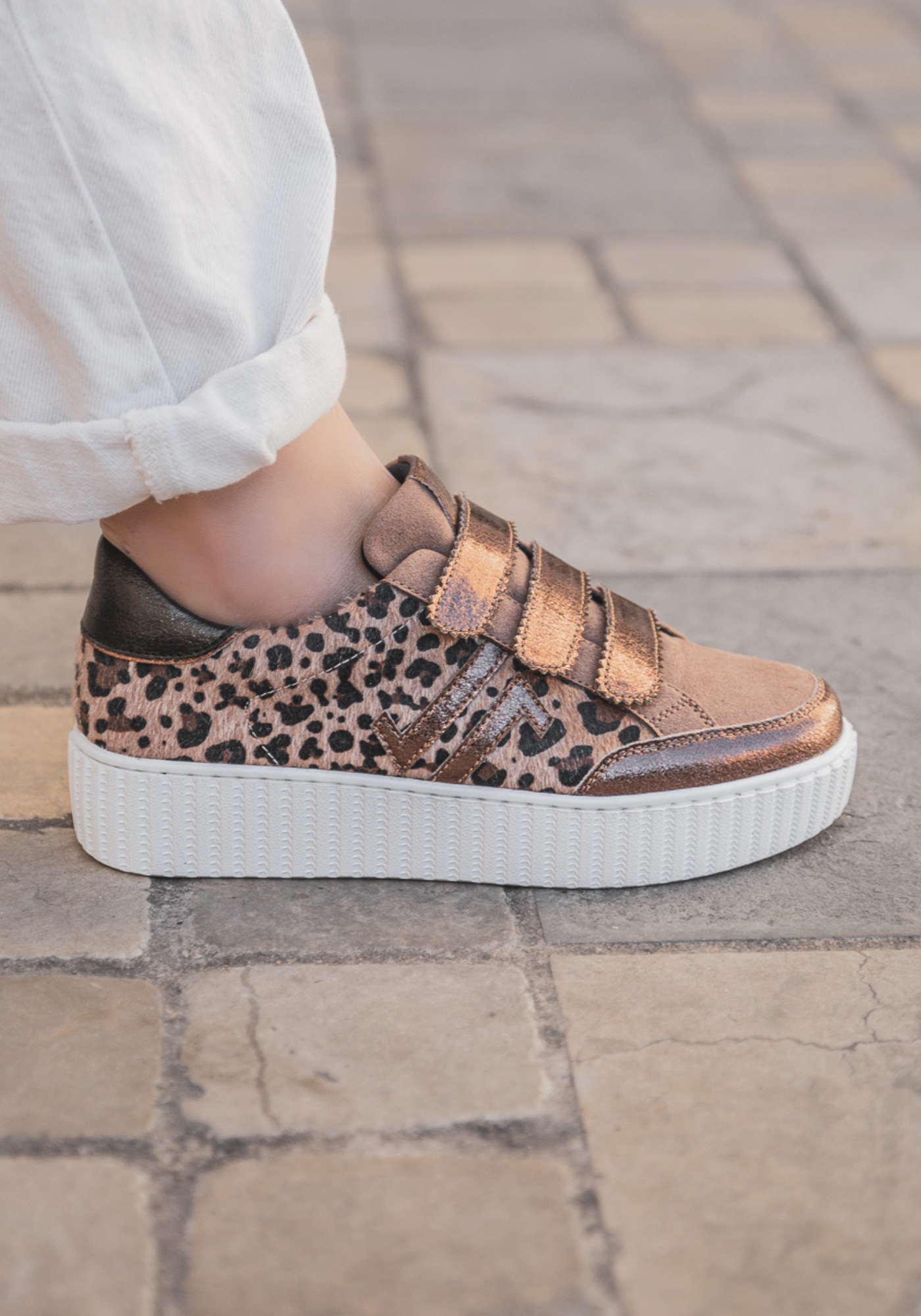 CL11 SNEAKERS - CL91-BRONZE - Casualmode.fr