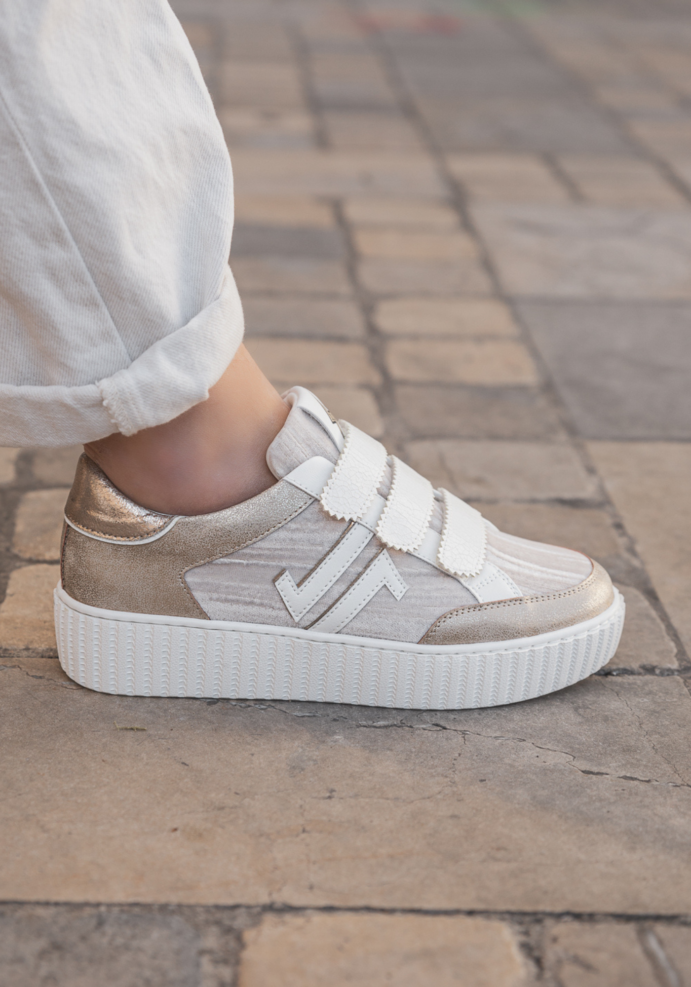 CL11 SNEAKERS - CL91-GOLD - Casualmode.fr